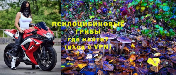 гидра Фурманов