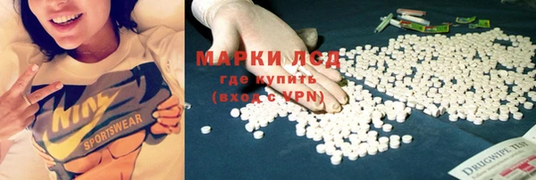 ECSTASY Чекалин